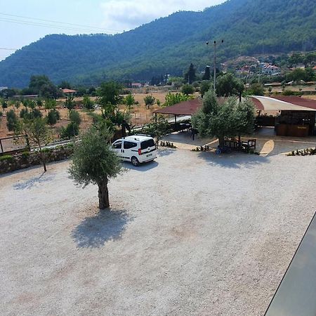 Olive Tree Apart Hotel Muğla Exterior photo