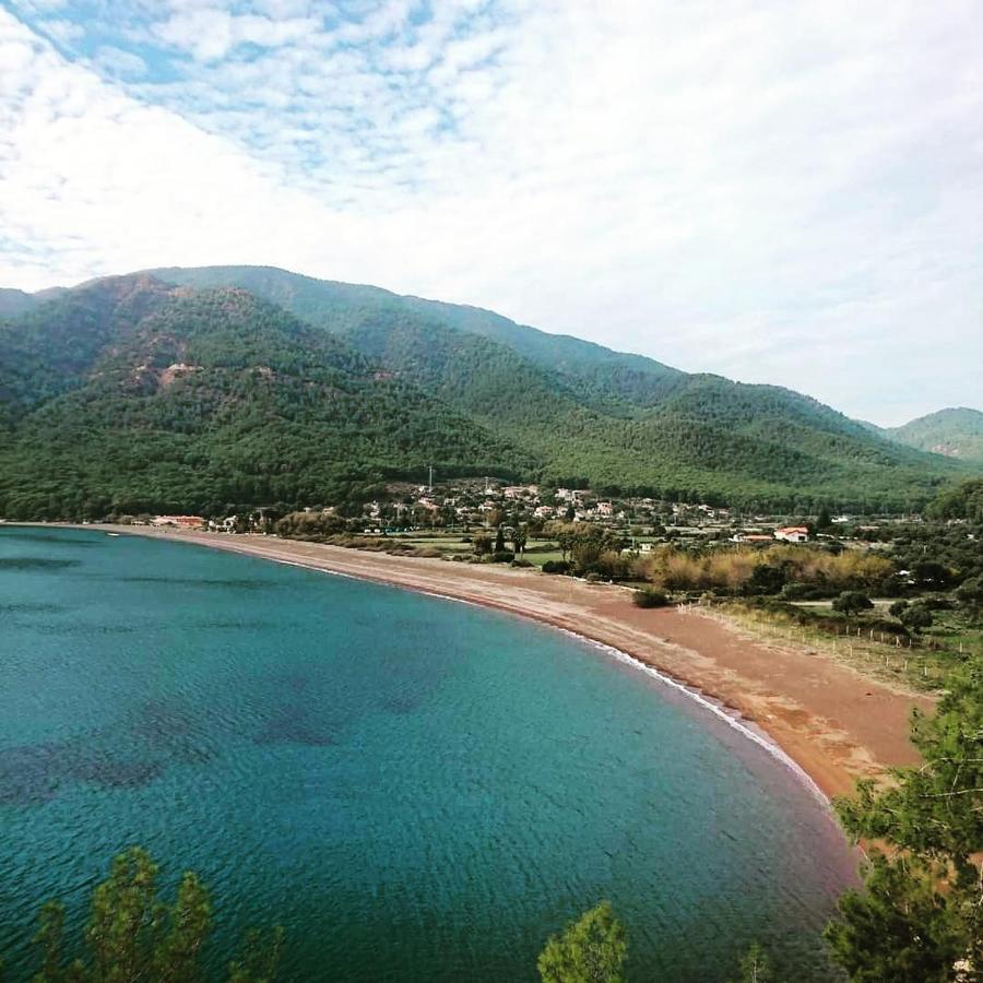 Olive Tree Apart Hotel Muğla Exterior photo
