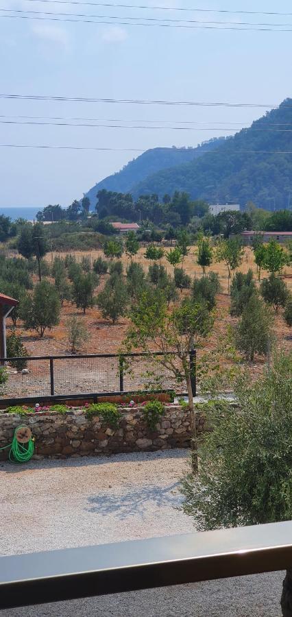 Olive Tree Apart Hotel Muğla Exterior photo